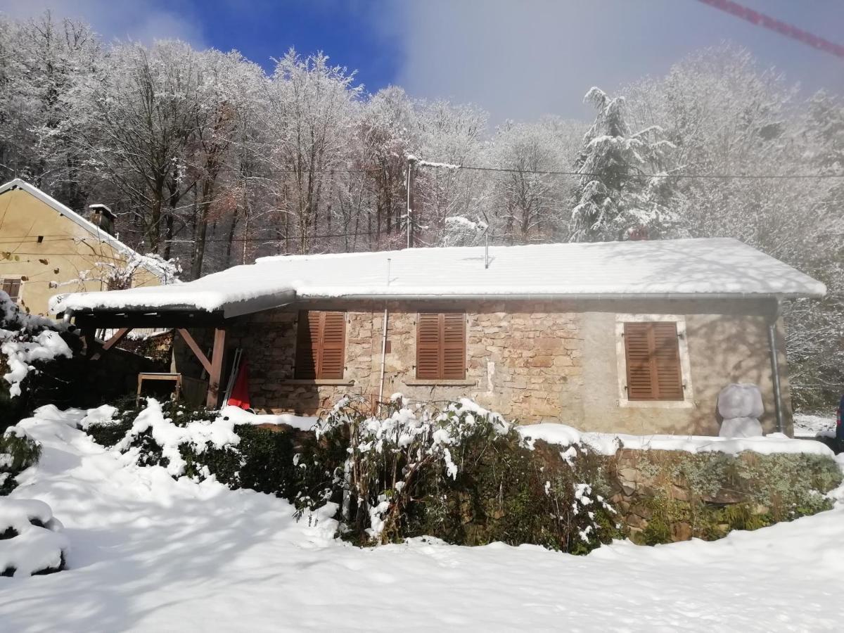 Gite Rural Les Maires D'Avaux Saint-Bresson Екстериор снимка