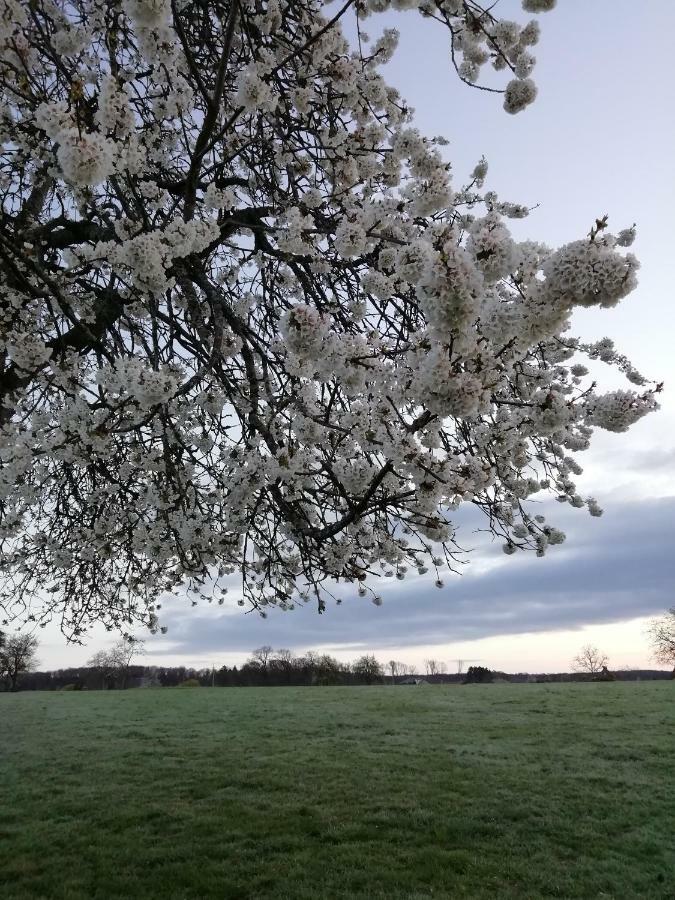 Gite Rural Les Maires D'Avaux Saint-Bresson Екстериор снимка